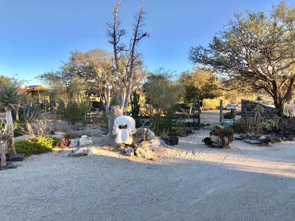 Daureb Isib Campsite And B&B Uis Exterior photo